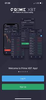 Ultimate Guide to PrimeXBT Forex Trading Strategies