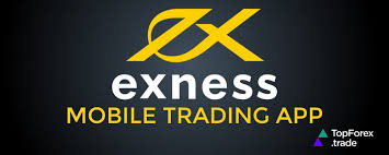 Understanding Exness Forex Spreads Key Factors and Insights Understanding Exness Forex Spreads Key Factors and Insights